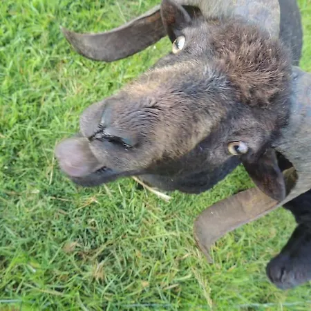 La Seliniere ! * Champ-du-Boult