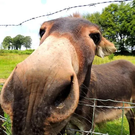 La Seliniere ! Holiday home *