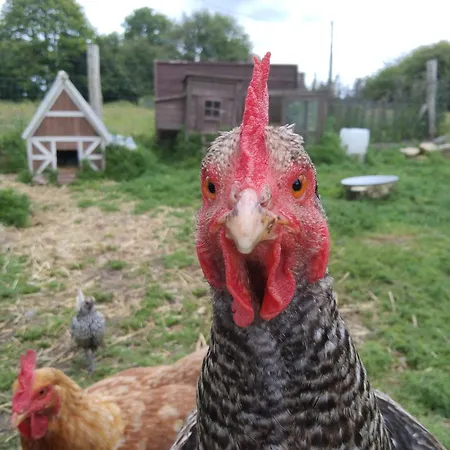 La Seliniere ! Holiday home