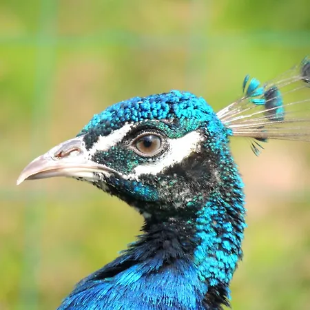 La Seliniere ! Casa de Férias *