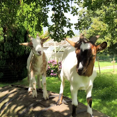 La Seliniere ! Holiday home