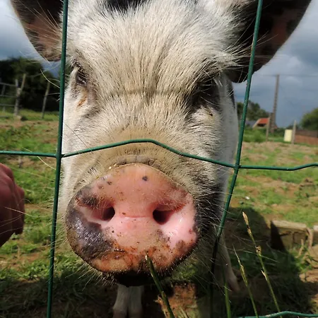 La Seliniere ! Holiday home Champ-du-Boult