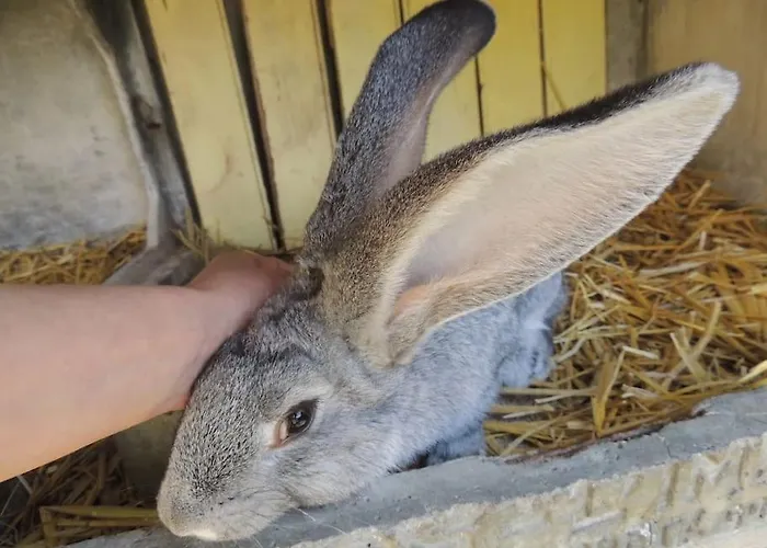 La Seliniere ! * Champ-du-Boult