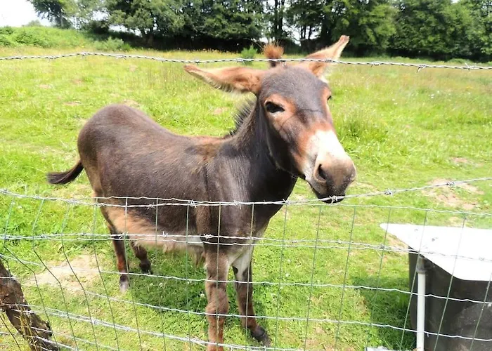 Holiday home La Seliniere ! Champ-du-Boult