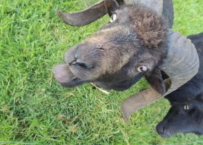 La Seliniere ! * Champ-du-Boult