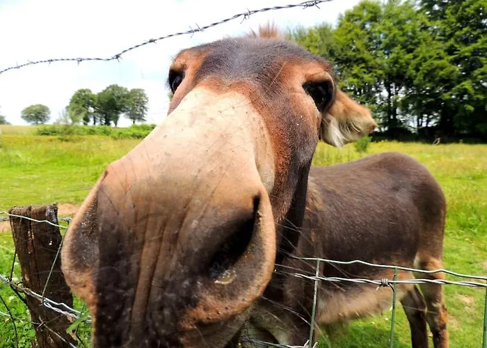 La Seliniere ! Casa de Férias *