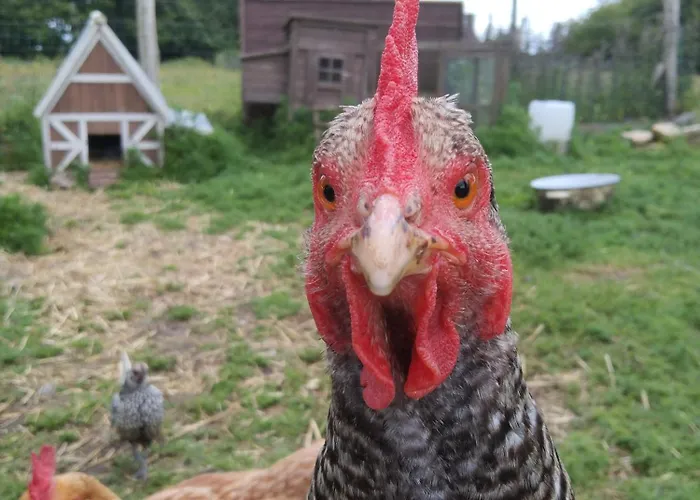La Seliniere ! Casa de Férias