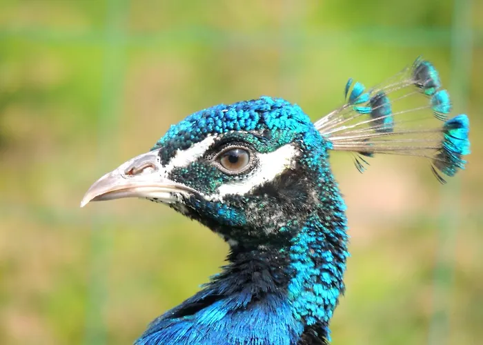 La Seliniere ! Casa de Férias *
