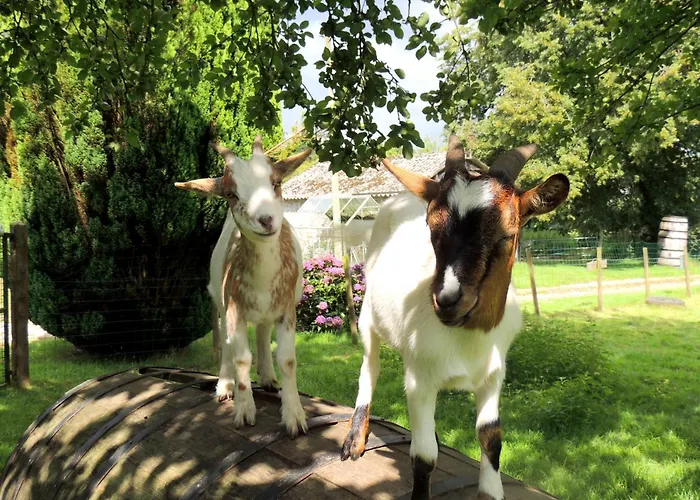 La Seliniere ! Holiday home