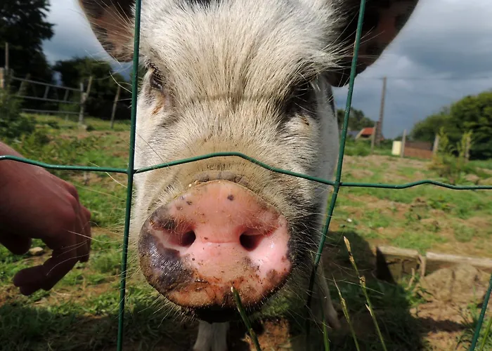 La Seliniere ! Holiday home Champ-du-Boult