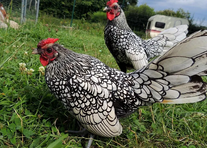 Casa de Férias La Seliniere ! Champ-du-Boult